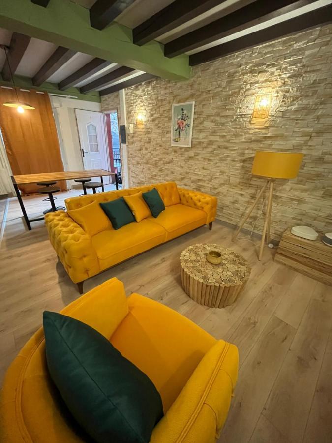 Appart Hotel Le 8 Le Duplex Mâcon Exteriér fotografie